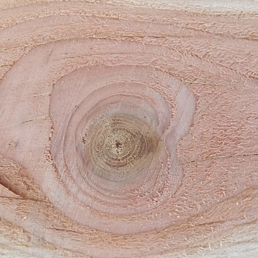 LE GITE DES BOIS