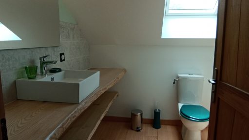 salle de bain chambre verte